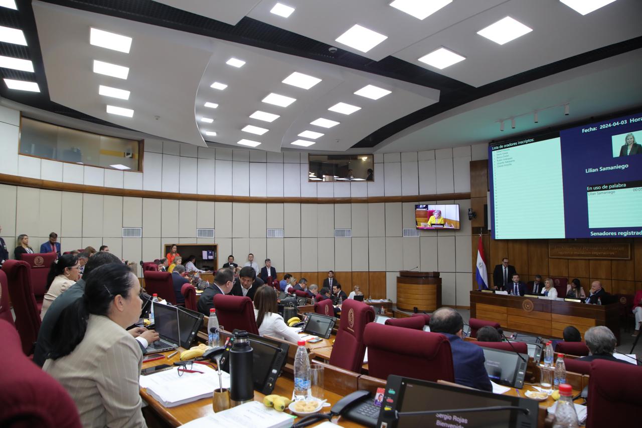 Sesión ordinaria de la Cámara de Senadores. Foto: Gentileza.