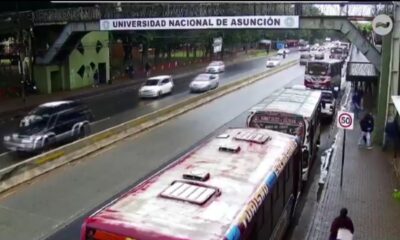 Buses internos de Central. Foto: Gentileza.