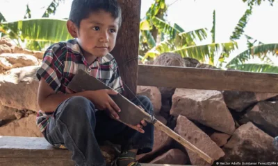 Niños de México cambian mochilas por armas. Foto referencial. Imagen: Hector Adolfo Quintanar Perez/ZUMA Wire/ZUMAPRESS/picture alliance/DW