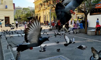 El Salvador. Imagen: Alba Miriam Amaya/DW