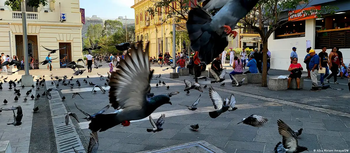 El Salvador. Imagen: Alba Miriam Amaya/DW