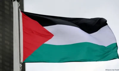 La bandera palestina, izada ante la ONU (2015).Imagen: Dennis Van Tine/Geisler-Fotopress/picture alliance