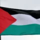 La bandera palestina, izada ante la ONU (2015).Imagen: Dennis Van Tine/Geisler-Fotopress/picture alliance