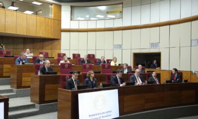 Autoridades del Poder Ejecutivo fueron convocados por la mesa directiva del Senado. Foto: Gentileza.