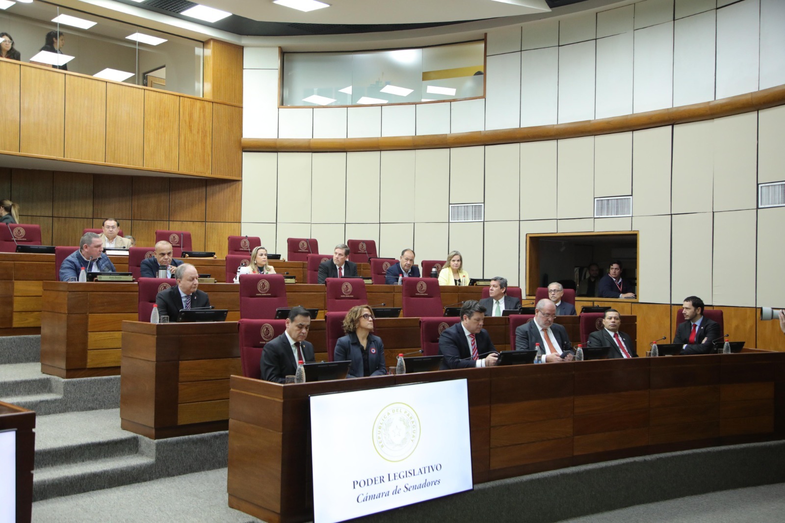 Autoridades del Poder Ejecutivo fueron convocados por la mesa directiva del Senado. Foto: Gentileza.