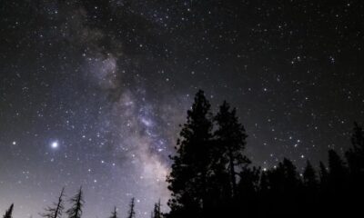 Cielo estrellado. Foto: NASA / NIGHT SKY NETWORK