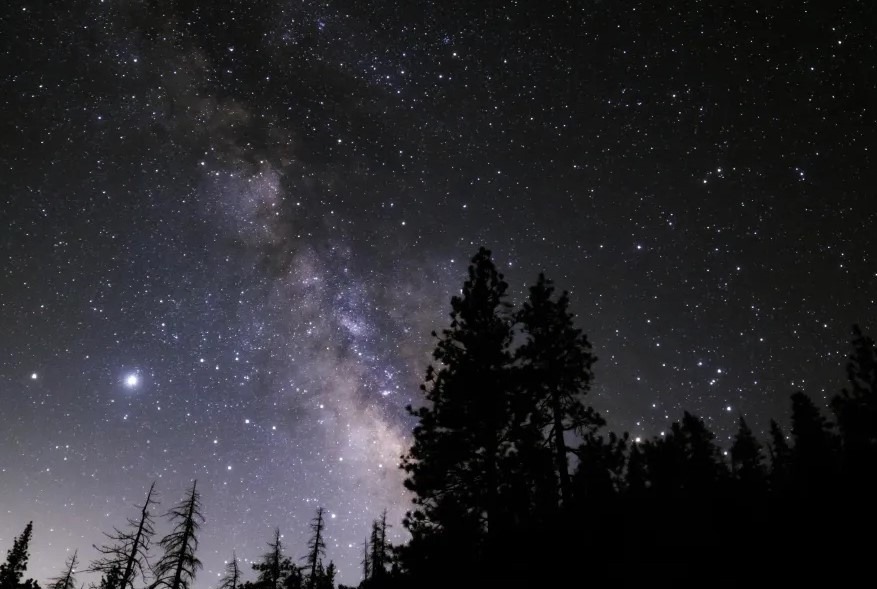 Cielo estrellado. Foto: NASA / NIGHT SKY NETWORK