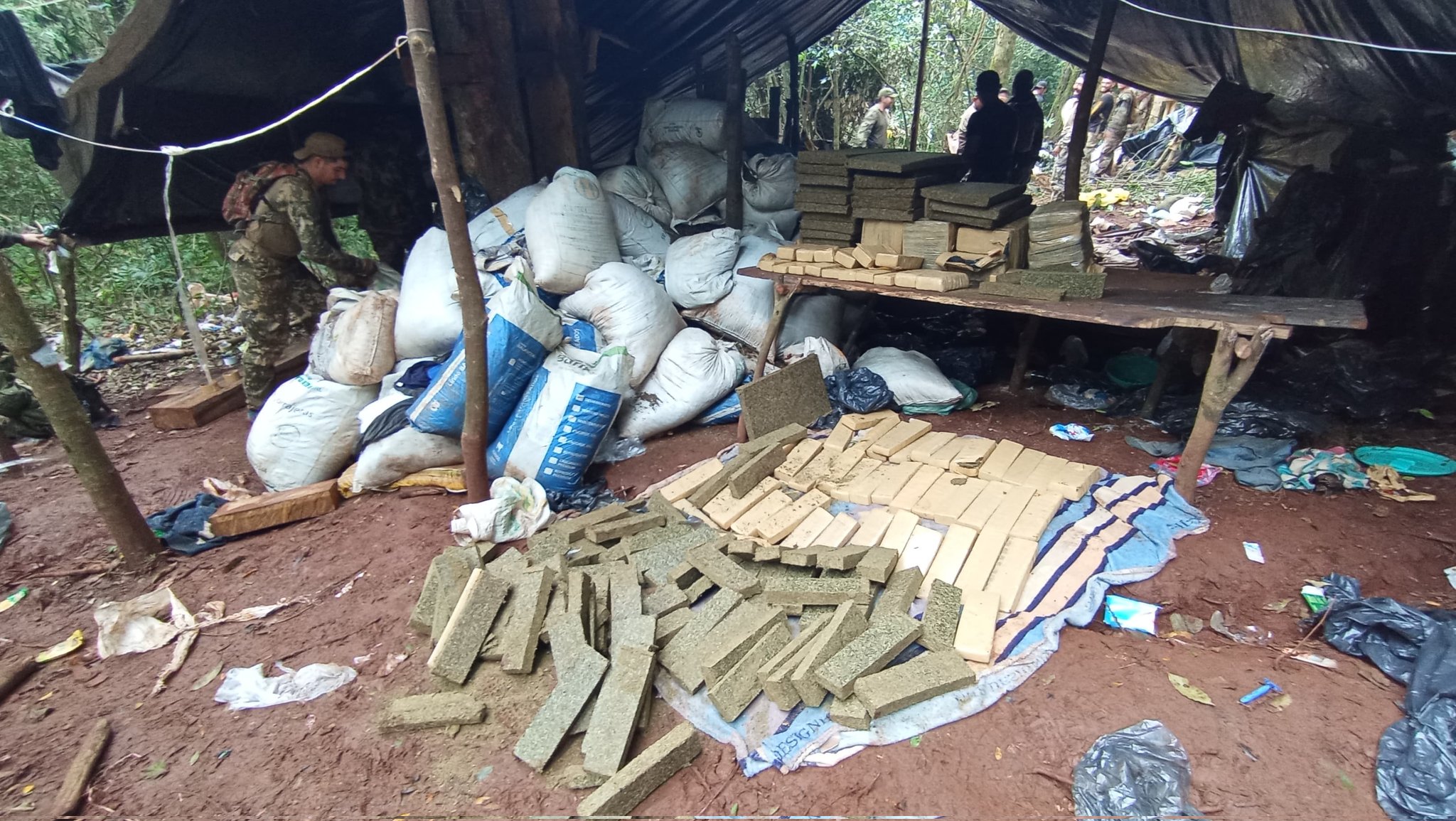 Casi 500 toneladas de marihuana en el Parque Nacional Caazapá. Foto: Senad.