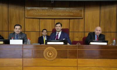 Sesión de la mesa directiva del Senado. Foto: Gentileza.