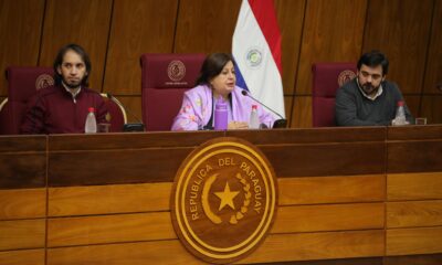 Audiencia pública en la Cámara de Senadores. Foto: Gentileza.