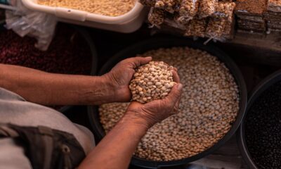 “Semillas de esperanza: Alimentando un futuro sostenible”, de Lucas Augusto Sosa Paredes, una de las fotografías ganadoras de la edición 2023. Cortesía