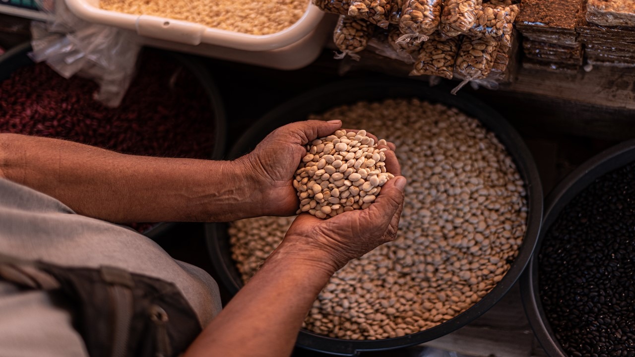 “Semillas de esperanza: Alimentando un futuro sostenible”, de Lucas Augusto Sosa Paredes, una de las fotografías ganadoras de la edición 2023. Cortesía