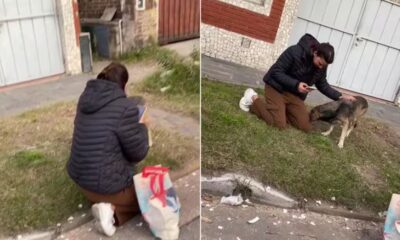 Imágenes llenas de emoción tocaron el corazón de miles en redes sociales. Foto: Captura de pantalla.