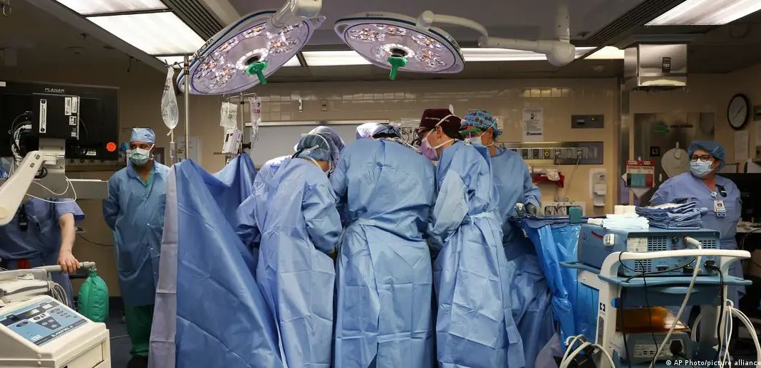 El equipo médico durante la operación de trasplante el pasado 16 de marzo.Imagen: AP Photo/picture alliance