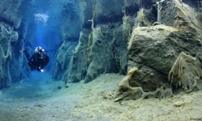 Un buzo en agua dulce cristalina en el norte de Islandia.Imagen: Poelzer Wolfgang/Zoonar/picture alliance