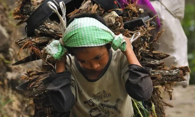 Trabajo infantil en Guatemala. Imagen: blickwinkel/IMAGO