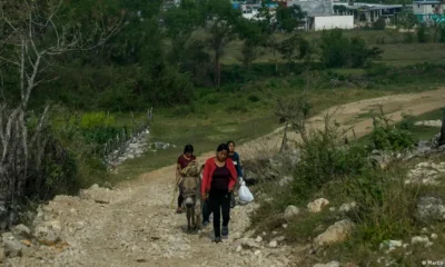 Vista de la localidad Plan de Ayala, en Las Margaritas, Chiapas. La violencia se ha recrudecido en ese estado del sur de México por disputas entre los cárteles Jalisco Nueva Generación (CJNG) y el de Sinaloa, las dos mayores bandas criminales de México. (Archivo 02.05.2024)Imagen: Marco Ugarte/AP Photo/picture alliance