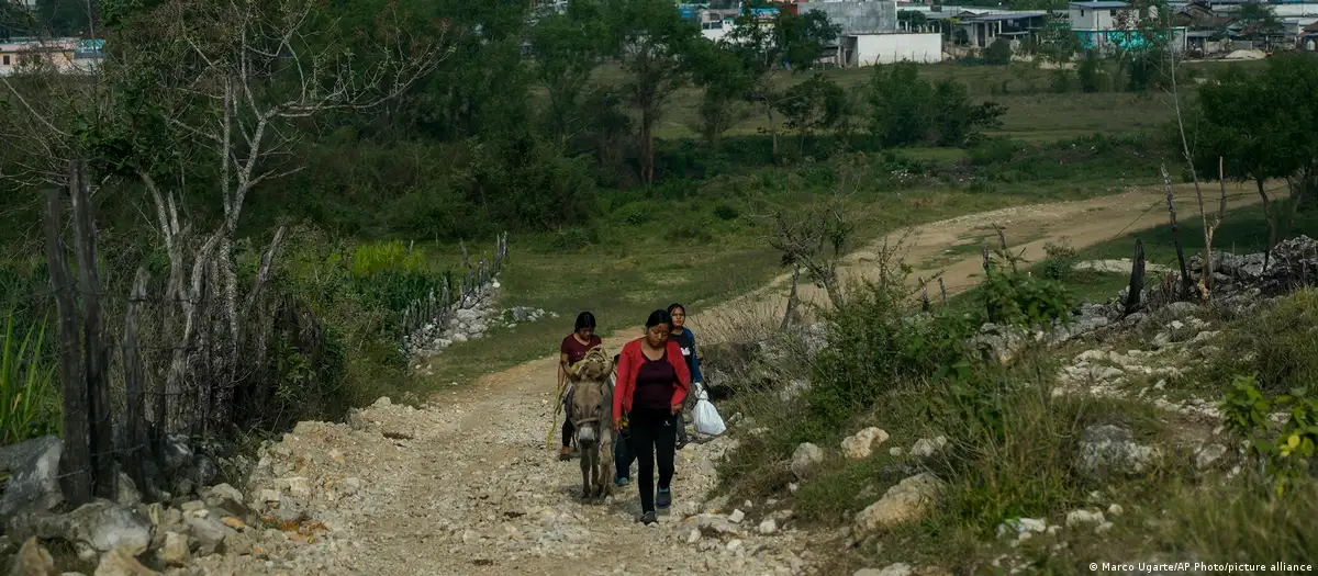 Vista de la localidad Plan de Ayala, en Las Margaritas, Chiapas. La violencia se ha recrudecido en ese estado del sur de México por disputas entre los cárteles Jalisco Nueva Generación (CJNG) y el de Sinaloa, las dos mayores bandas criminales de México. (Archivo 02.05.2024)Imagen: Marco Ugarte/AP Photo/picture alliance