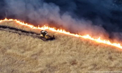 Imagen referencial: California Department of Forestry and Fire Protection/AP Photo/picture alliance