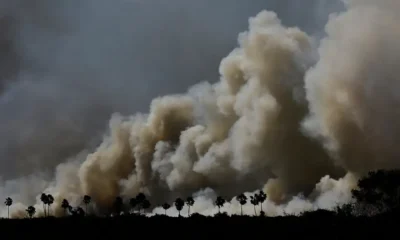 Mato Grosso do Sul concentra 78% de la zona afectada por los incendios. Imagen: Ueslei Marcelino