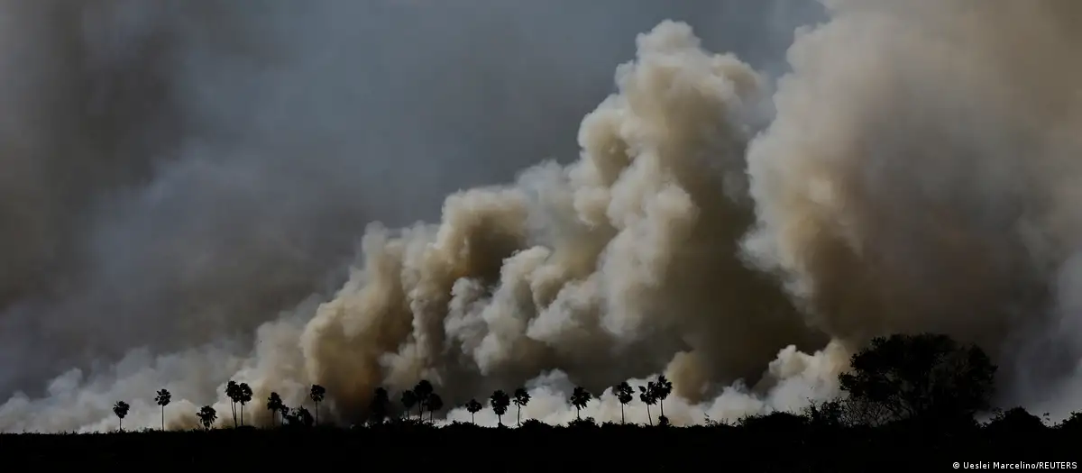 Mato Grosso do Sul concentra 78% de la zona afectada por los incendios. Imagen: Ueslei Marcelino