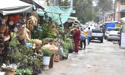 Paseo de los Yuyos, Mercado N°4. Foto: Gentileza.