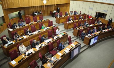 Sesión del Senado.Foto: Gentileza.