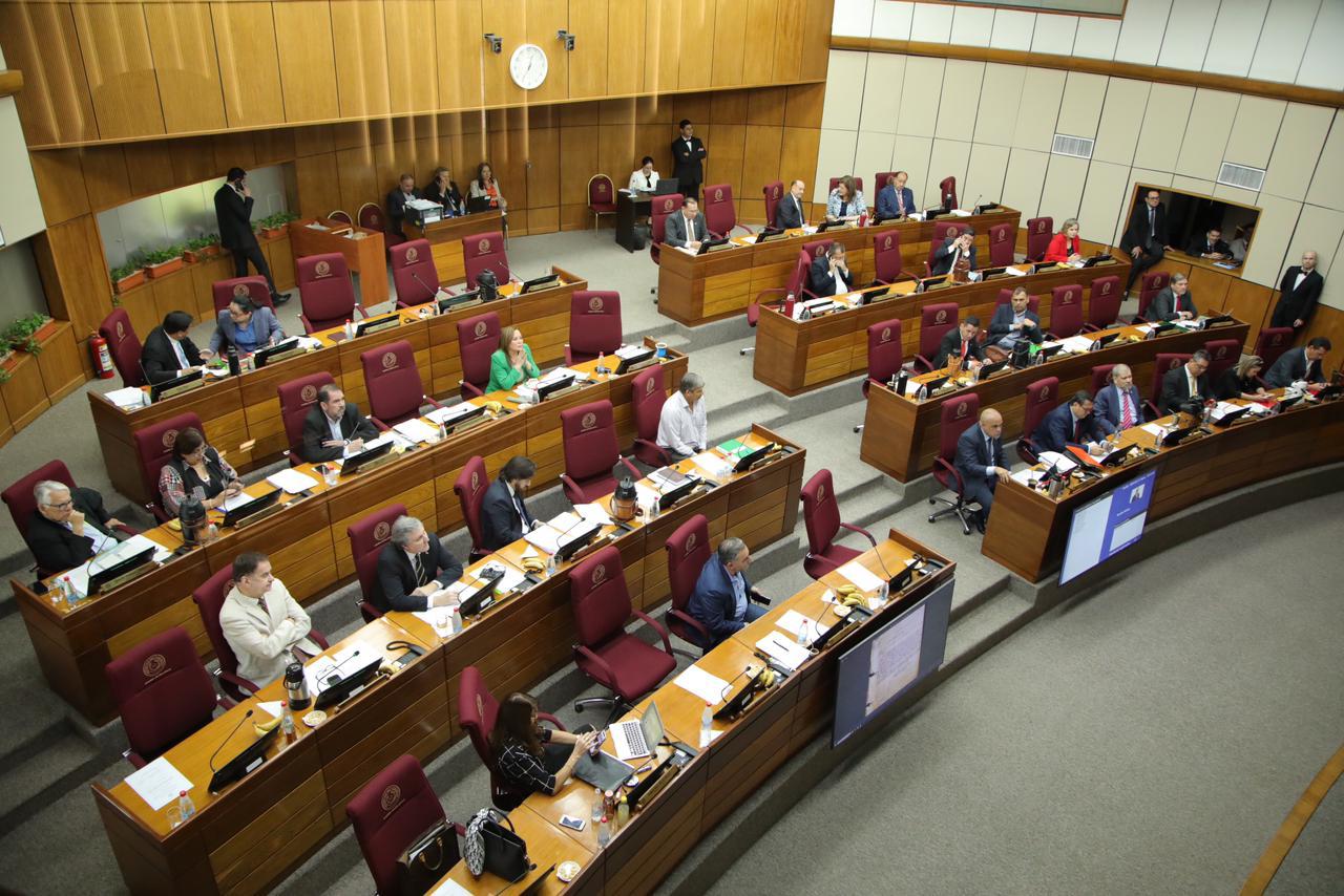 Sesión del Senado.Foto: Gentileza.