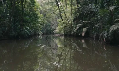 Parque Nacional Tortuguero, en Costa Rica. Imagen: Alejandra Araya/DW