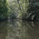 Parque Nacional Tortuguero, en Costa Rica. Imagen: Alejandra Araya/DW