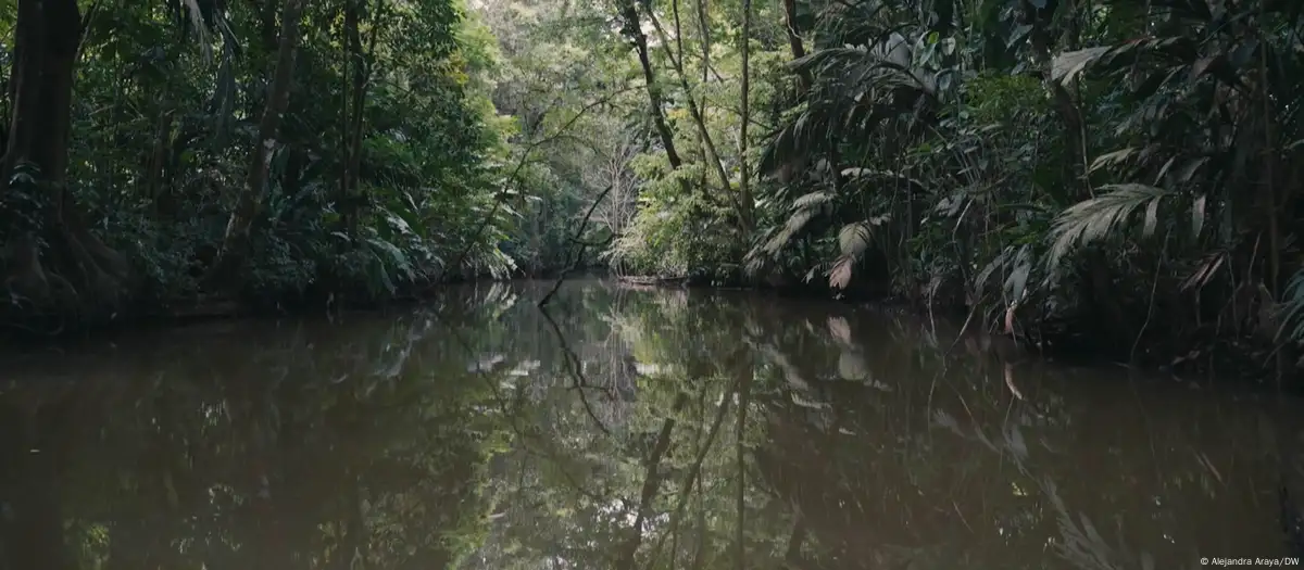 Parque Nacional Tortuguero, en Costa Rica. Imagen: Alejandra Araya/DW