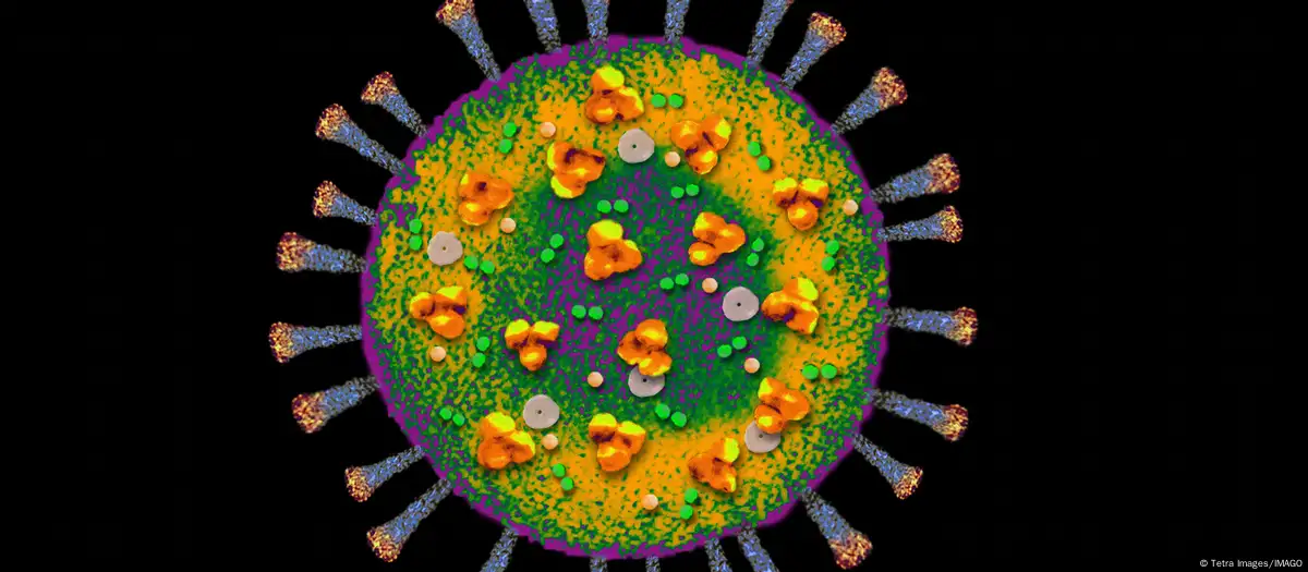 Imagen del virus de covid-19 generada digitalmente Imagen: Tetra Images/IMAGO