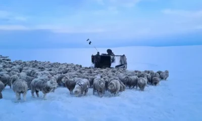 Patagonia, Argentina. Foto:Imagen: Ministerio de Defensa de Argentina