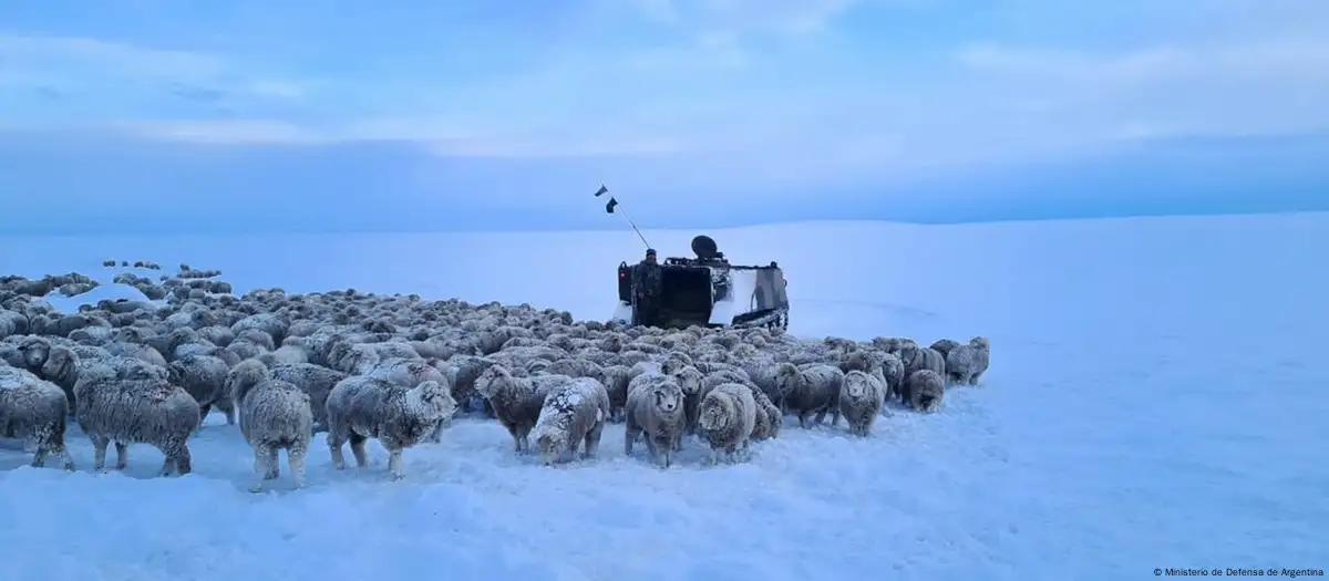 Patagonia, Argentina. Foto:Imagen: Ministerio de Defensa de Argentina