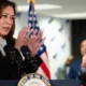 Kamala Harris tendrá que convencer a los votantes estadounidenses de que sabe cómo gestionar la economía en sus propios términos, en especial, para bajar la inflación y crear empleo. Imagen: Erin Schaff/The New York Times/AP/picture alliance