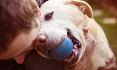 Una persona junto a un perro. Foto: Europa Press.