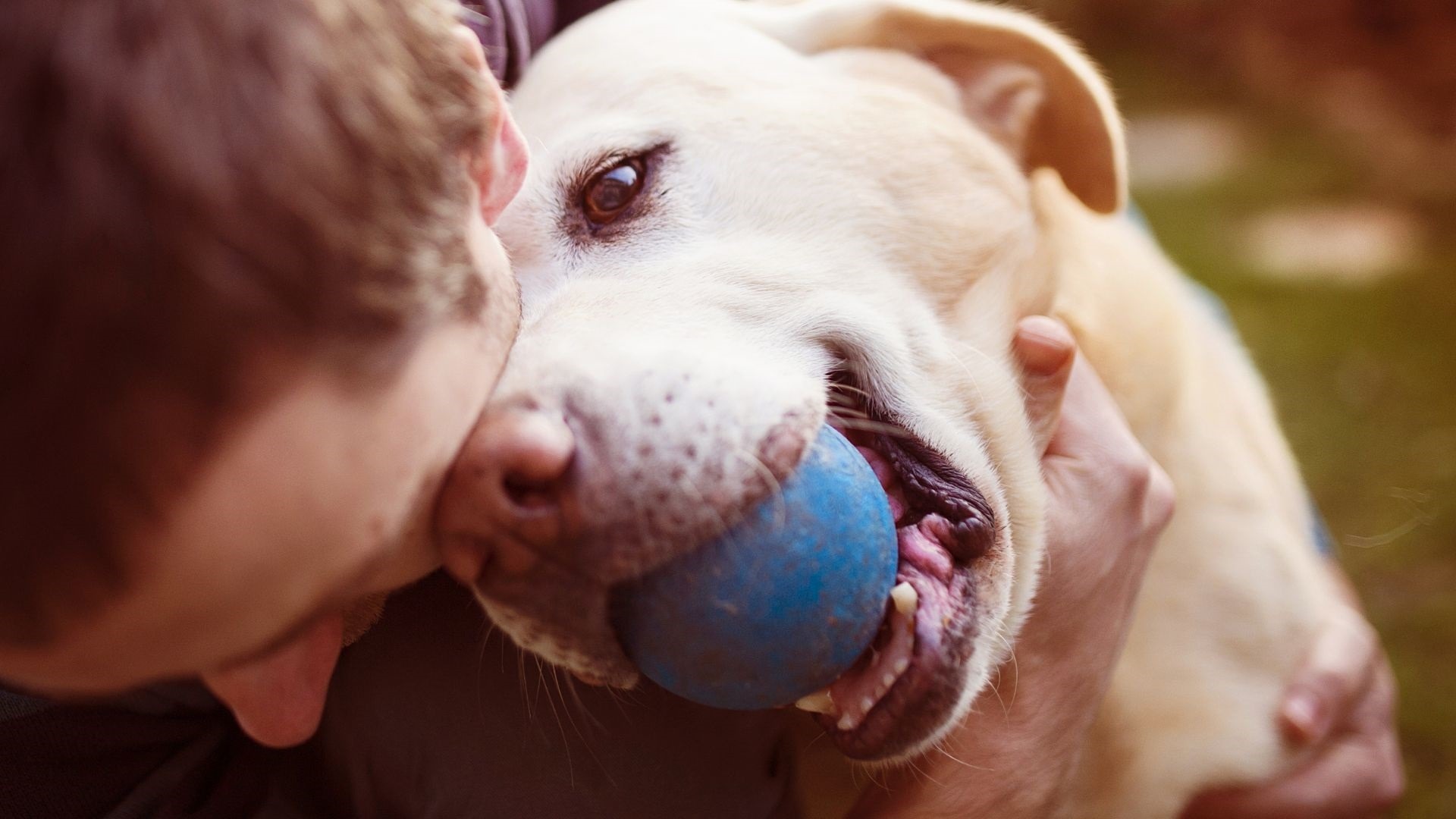 Una persona junto a un perro. Foto: Europa Press.