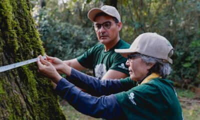 Medición de árbol. Colosos de la tierra. Foto: Gentileza.