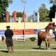 as primeras razas en entrar en competencia fueron: Árabe, Criolla, Appaloosa, Alpina, Anglo Nubian, Boer, Toggenbur, Pega y Mediterránea. Foto: ARP.