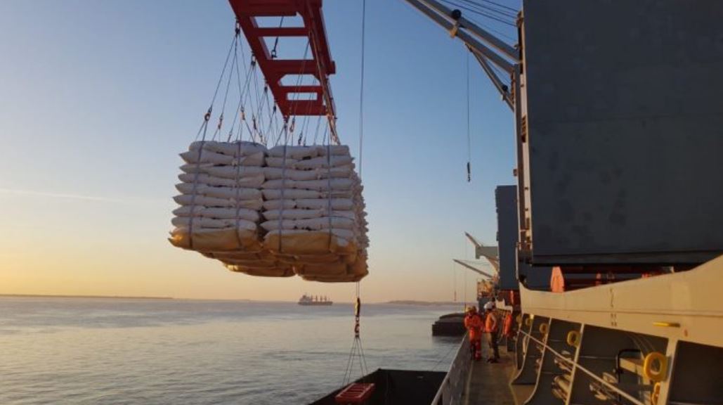 Según Rediex, en la primera mitad del año, los productos paraguayos lograron conectar con más países para su distribución. Foto: Gentileza