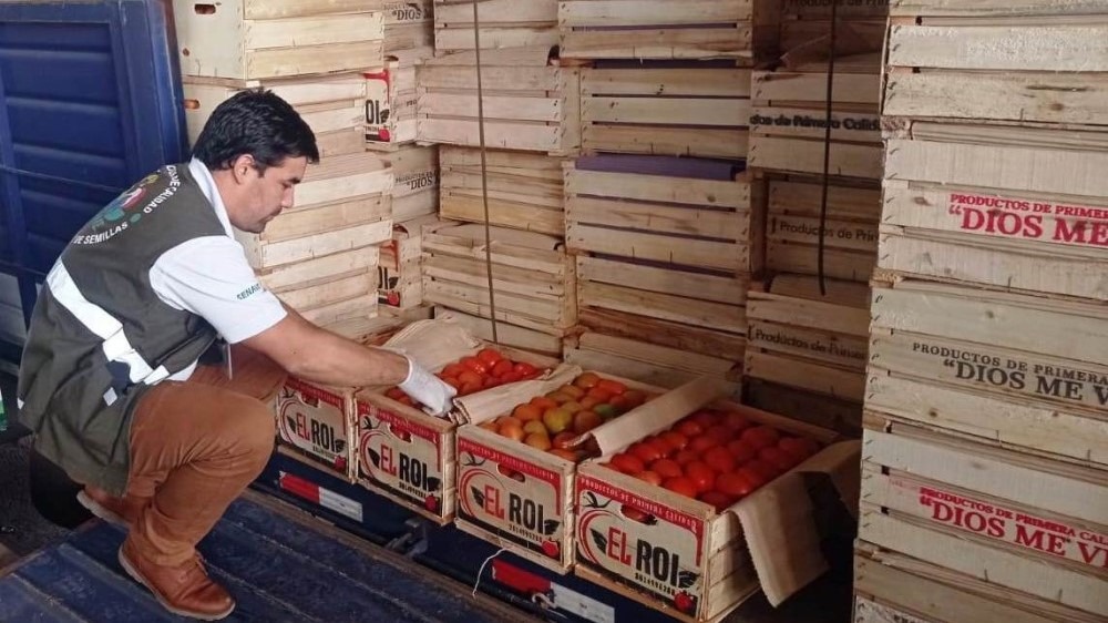 La Dirección de Comercialización del MAG será el responsable de la aprobación de las solicitudes de importación. Foto: Gentileza.