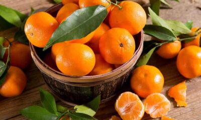 Esta fruta se destaca por su elevada concentración de agua en un 90% y de Vitamina C. Foto: Referencial.