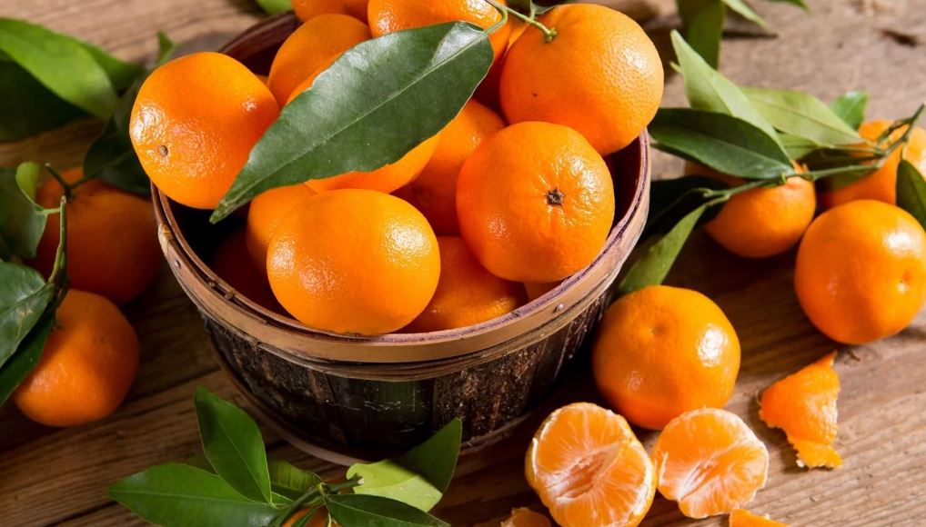 Esta fruta se destaca por su elevada concentración de agua en un 90% y de Vitamina C. Foto: Referencial.