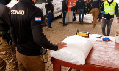 Unos mil kilos de cocaína que iban a ser enviados al puerto de Amberes, Bélgica. Foto: SENAD.