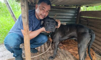 Reencuentro de la mascota con su dueño. Foto: Gentileza.