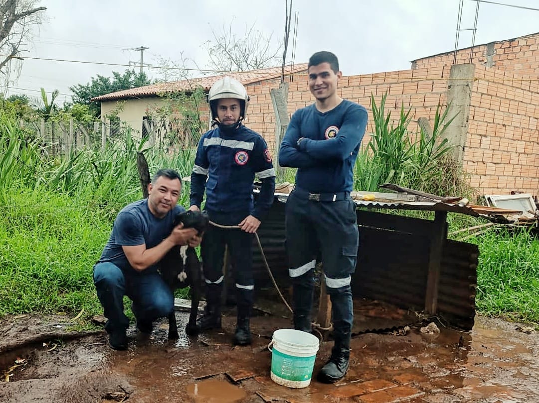 Reencuentro de la mascota con su dueño. Foto: Gentileza.