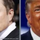 Elon Musk y Donald Trump. Foto: DW.