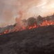 Incendio forestal. Foto: Captura.