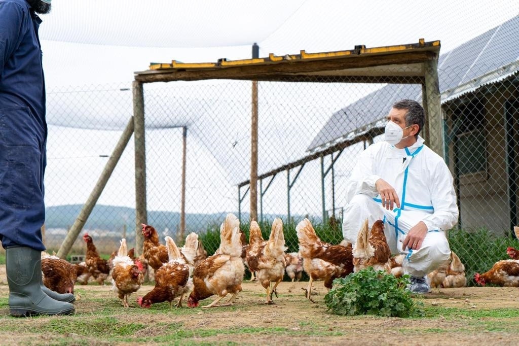 Un veterinario inspecciona una granja de aves. Foto: Europa Press.