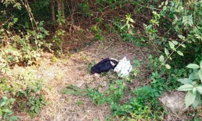 Zona donde ocurrió en el predio del Parque Guasú Metropolitano. Foto: Gentileza.